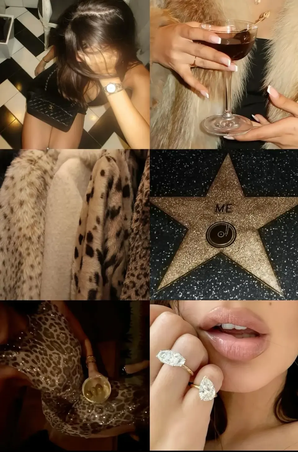 Hollywood Leopard Glamour